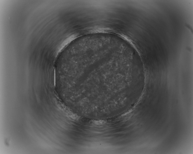 X0000099471219200806061212