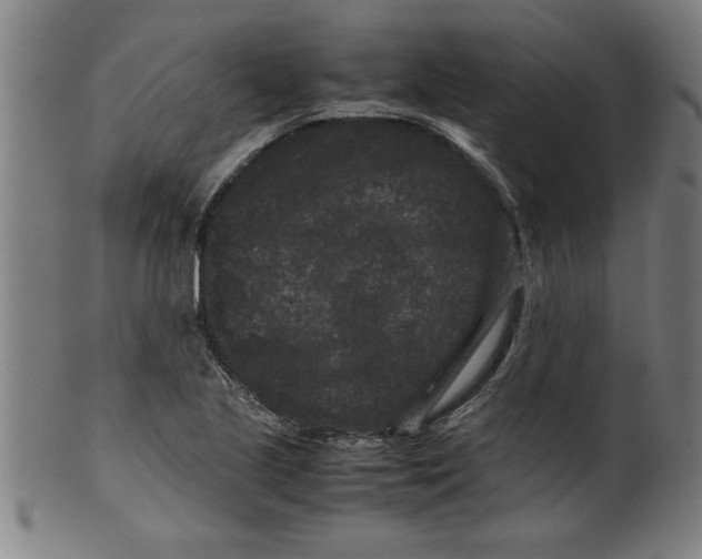 X0000099471221200806061212