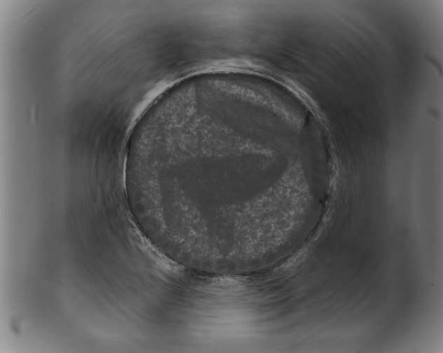 X0000099471224200806061212