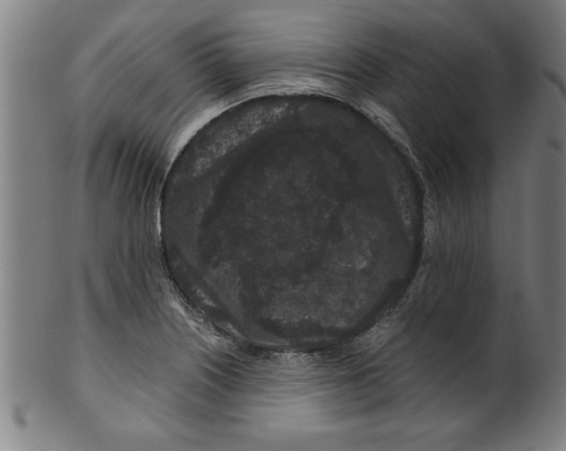 X0000099471226200806061212