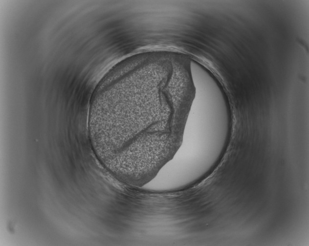 X0000099471228200806061212