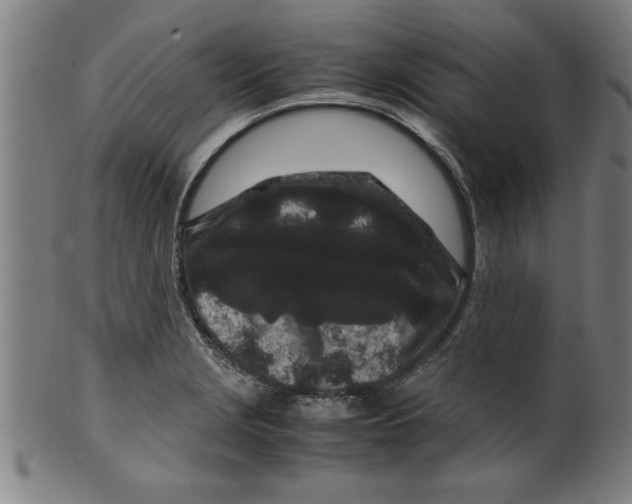 X0000099471229200806061212