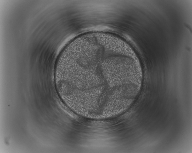 X0000099471232200806061212