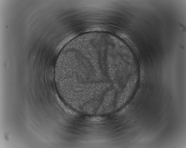 X0000099471233200806061212