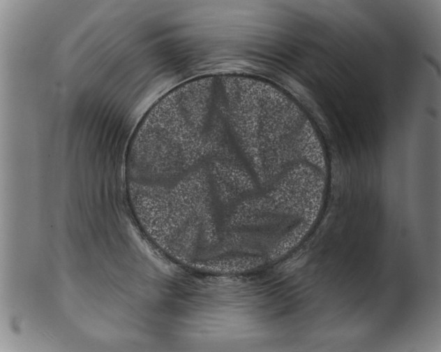 X0000099471234200806061212