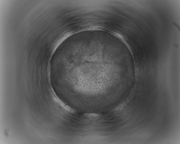 X0000099471235200806061212