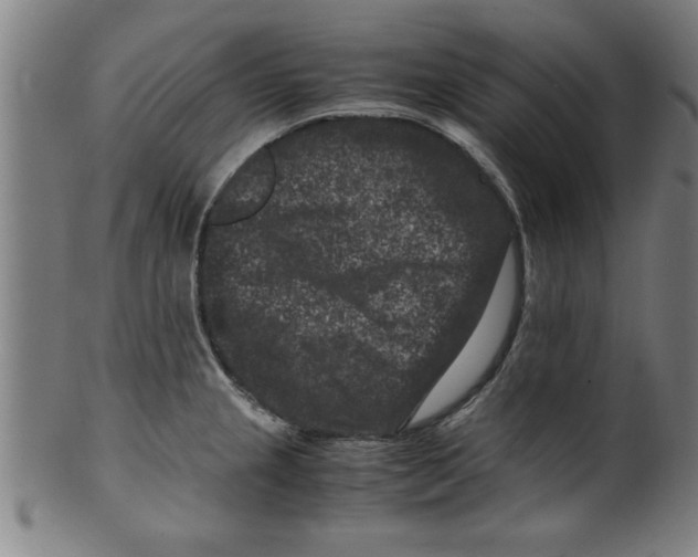 X0000099471237200806061212