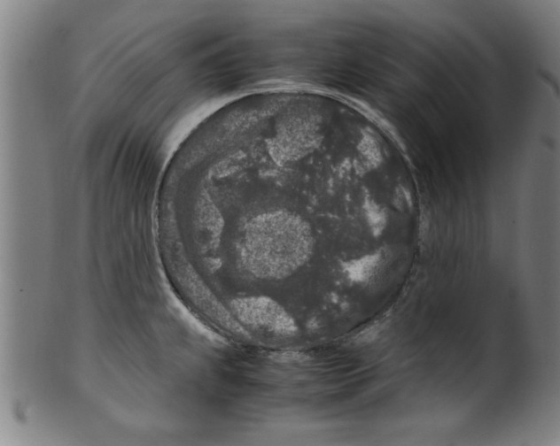 X0000099471239200806061212