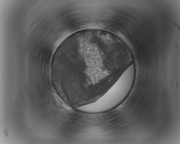 X0000099471240200806061212