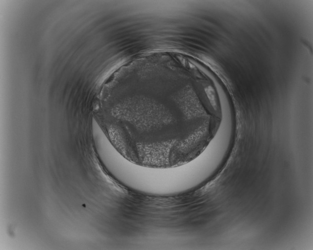 X0000099471241200806061212