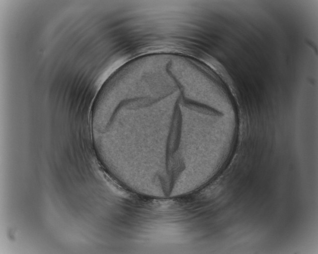 X0000099471242200806061212