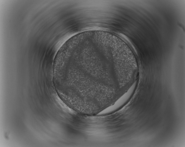 X0000099471244200806061212