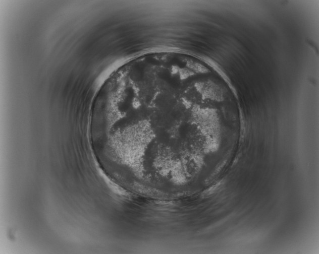 X0000099471245200806061212