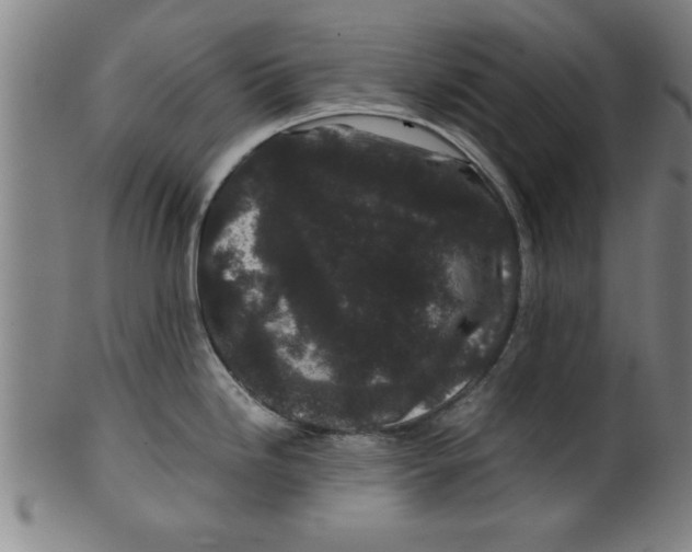 X0000099471246200806061212