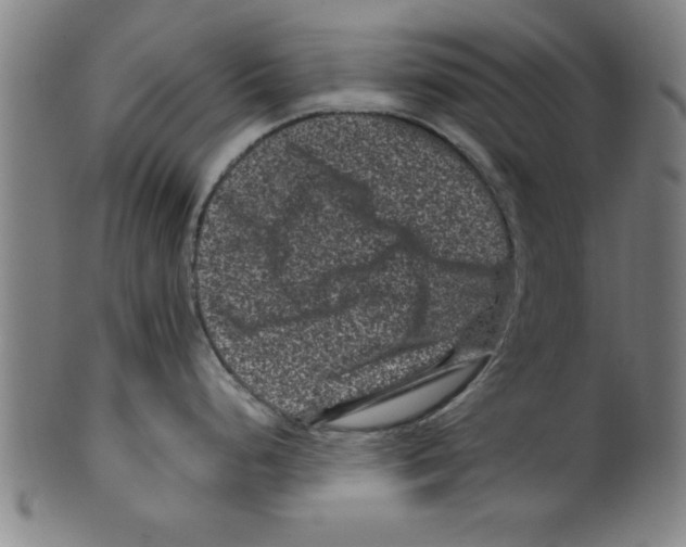 X0000099471248200806061212