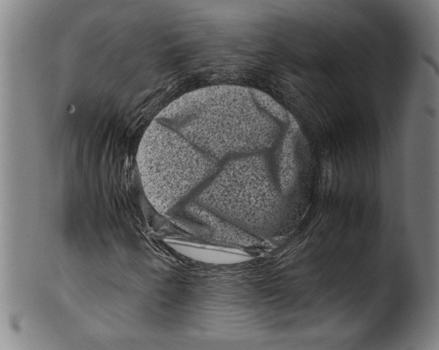 X0000099471250200806061211