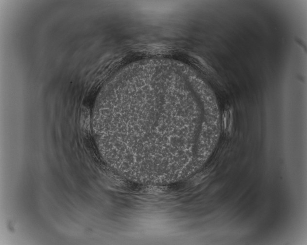 X0000099471251200806061211