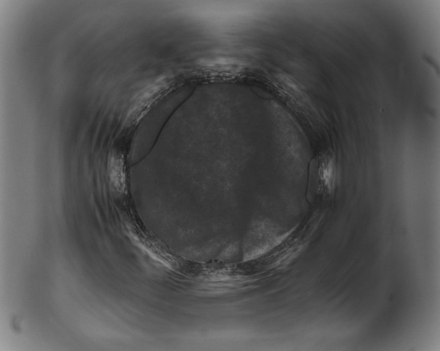 X0000099471252200806061211