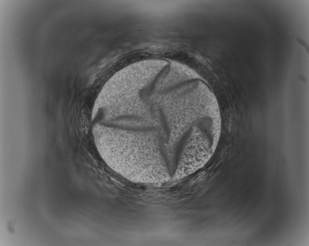 X0000099471253200806061211