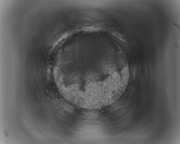 X0000099471254200806061211