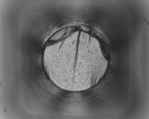 X0000099471260200806061211