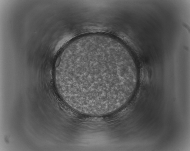 X0000099471261200806061211