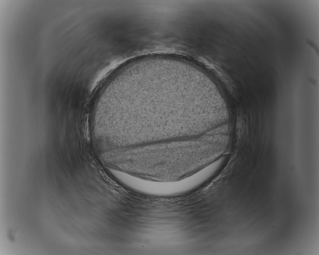 X0000099471262200806061211