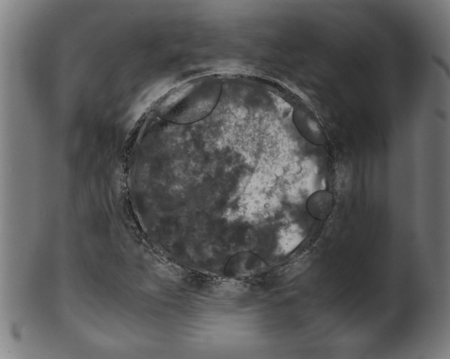 X0000099471263200806061211