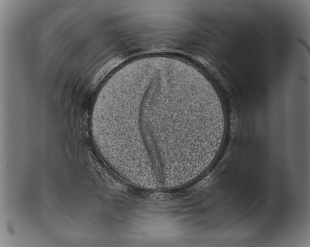 X0000099471265200806061211