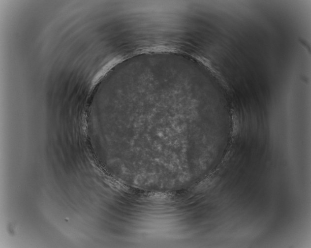 X0000099471266200806061211