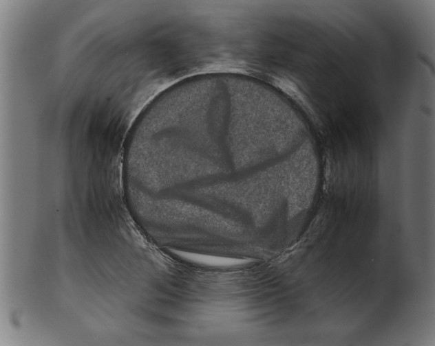 X0000099471268200806061211