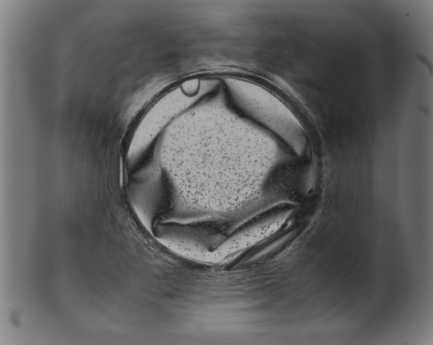 X0000099471269200806061211