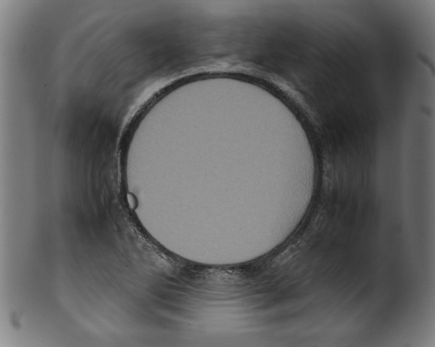 X0000099471270200806061211