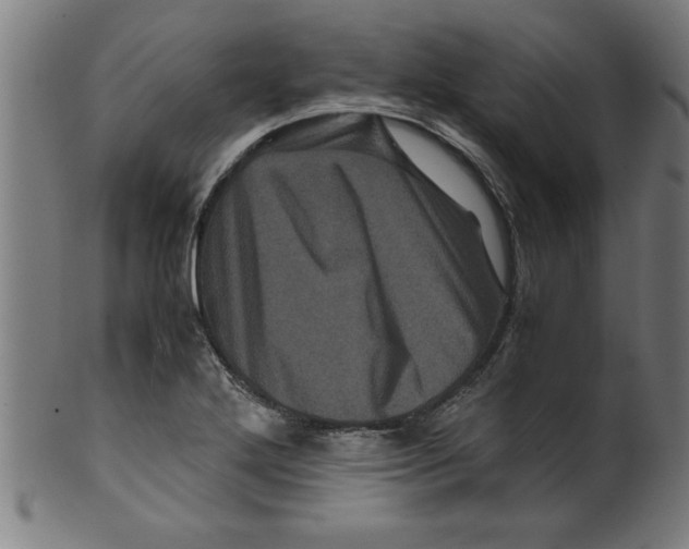 X0000099471272200806061211