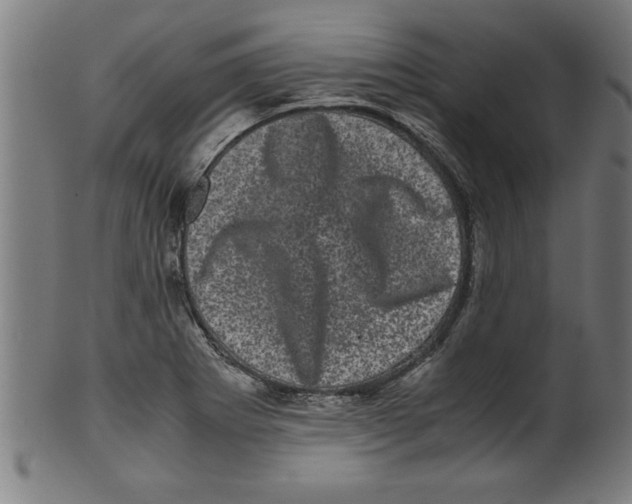 X0000099471273200806061211