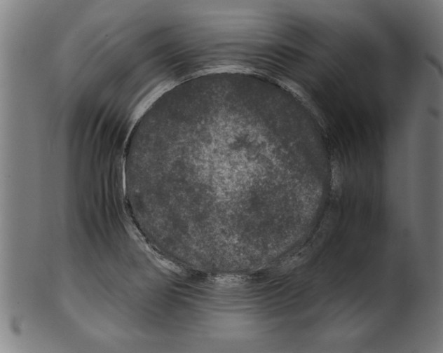 X0000099471274200806061211