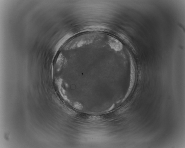 X0000099471275200806061211