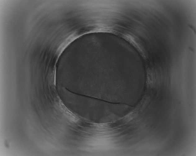 X0000099471276200806061211