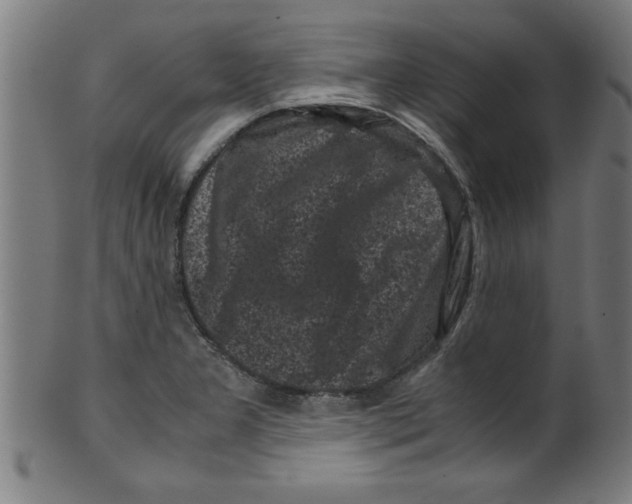 X0000099471277200806061211