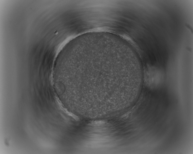 X0000099471278200806061211