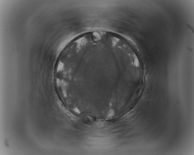 X0000099471279200806061211