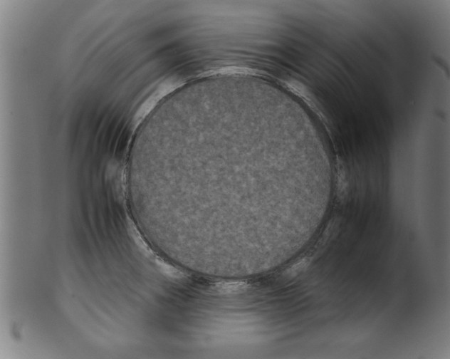 X0000099471282200806061211