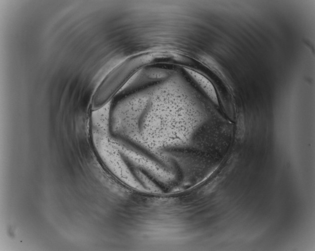 X0000099471284200806061211