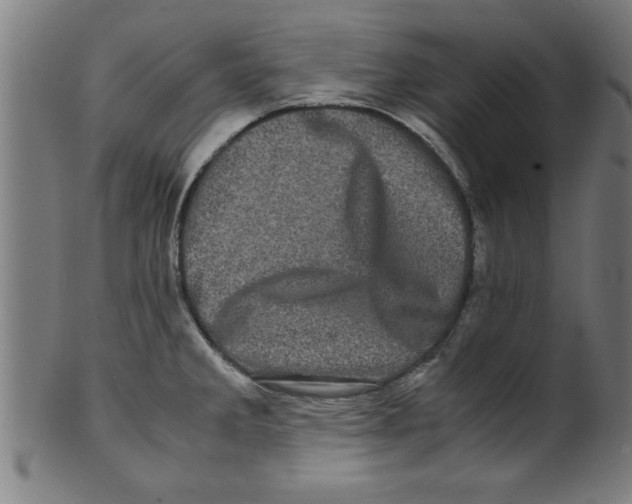 X0000099471285200806061211