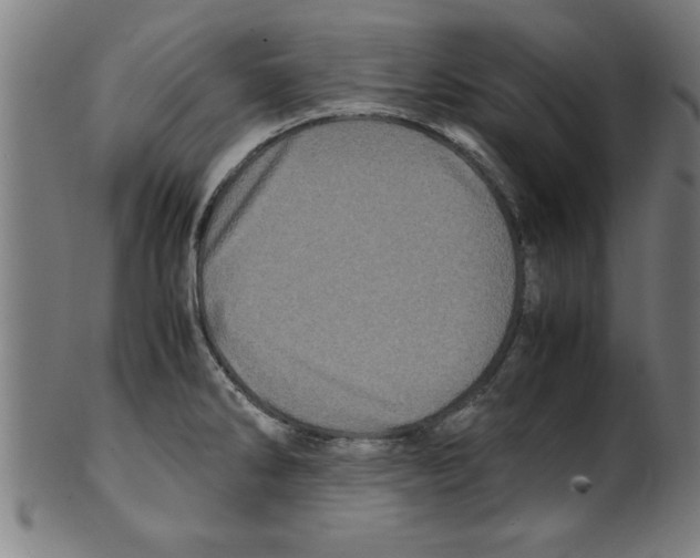 X0000099471286200806061211