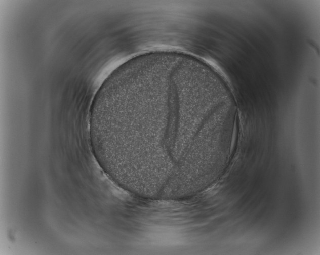 X0000099471287200806061211