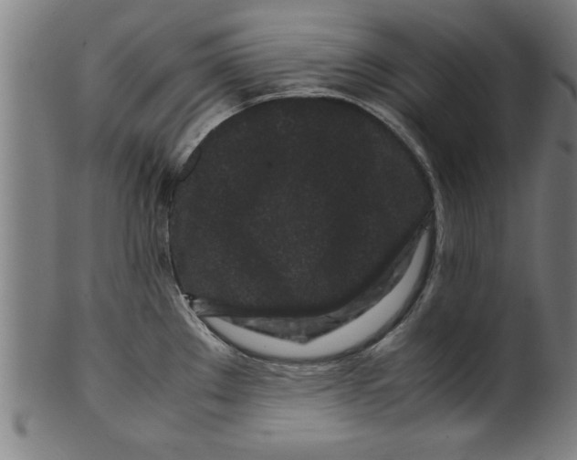 X0000099471289200806061211