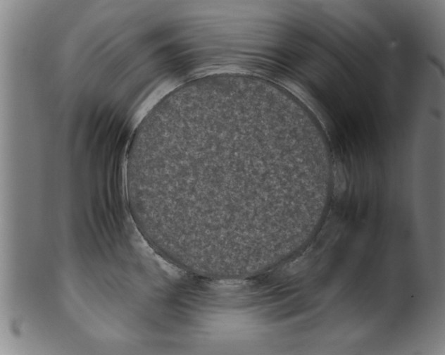 X0000099471290200806061211