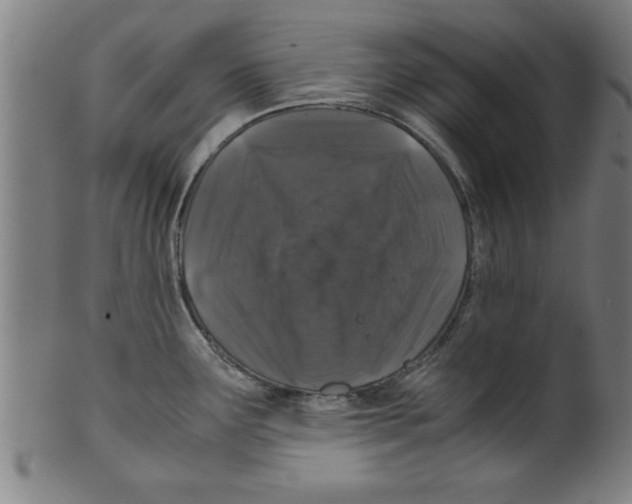 X0000099471291200806061211