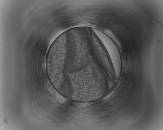 X0000099471292200806061211